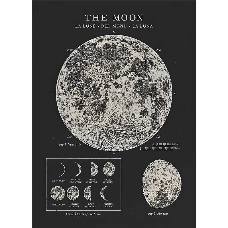 Vintage Astronomy Canvas Solar System & Moon Phases | Unframed Home Decor