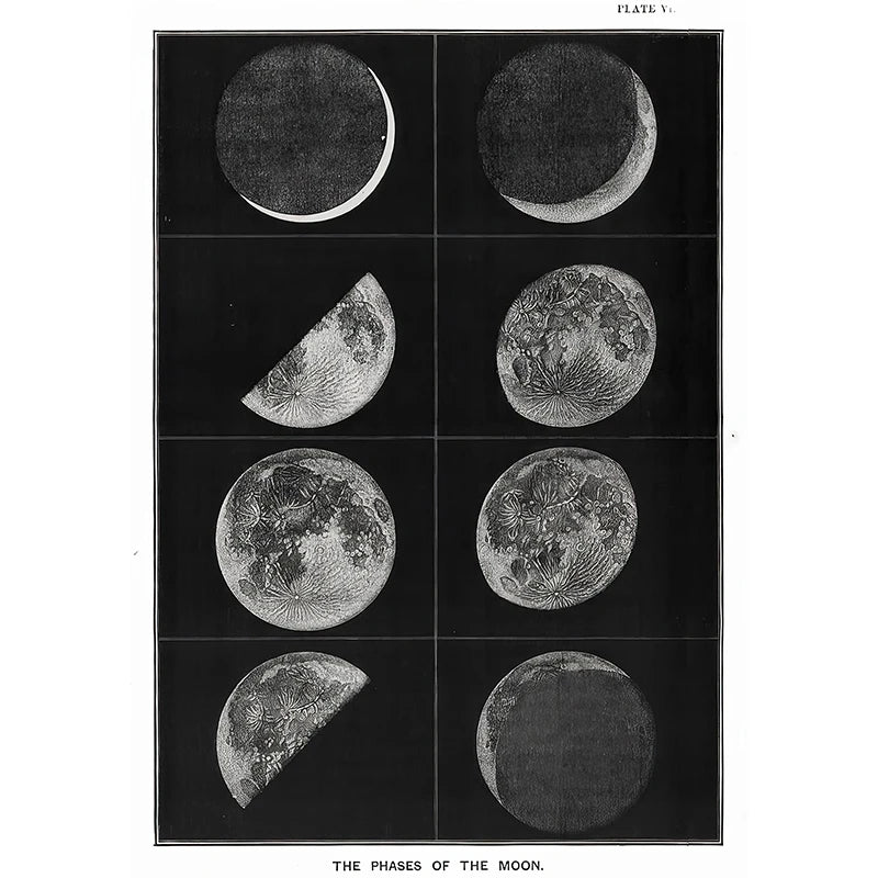 Vintage Astronomy Canvas Solar System & Moon Phases | Unframed Home Decor