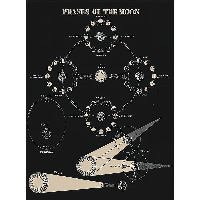 Vintage Astronomy Canvas Solar System & Moon Phases | Unframed Home Decor