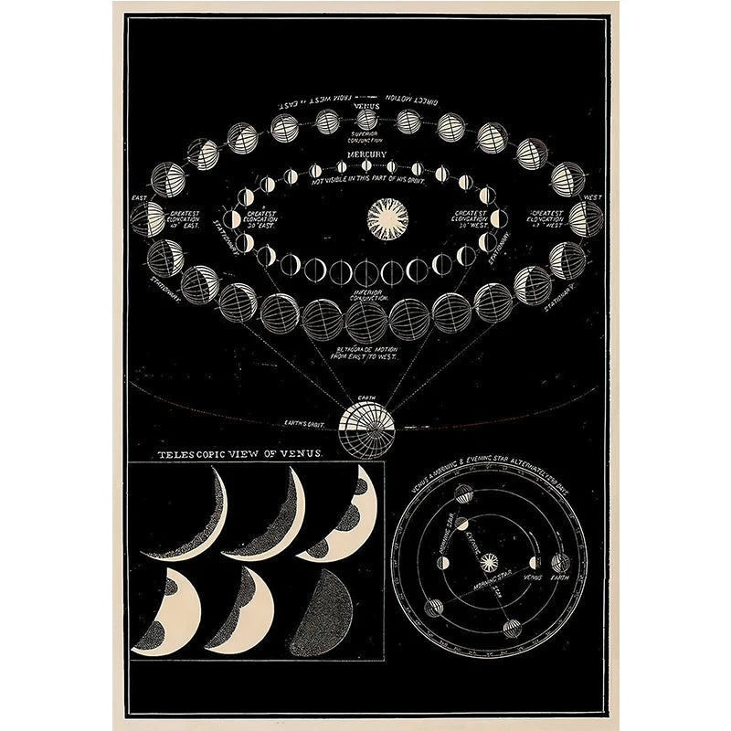 Vintage Astronomy Canvas Solar System & Moon Phases | Unframed Home Decor